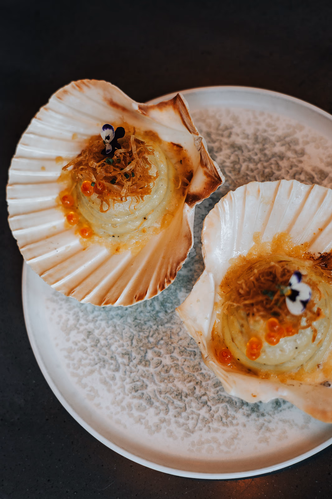 Garnished Coquilles